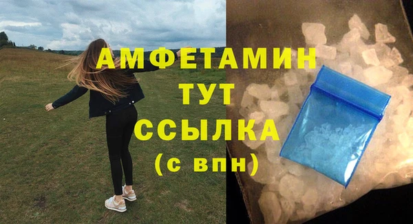 гашик Мегион