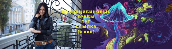 эйфоретик Алексеевка