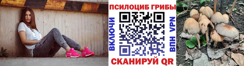 Галлюциногенные грибы Psilocybe  Усть-Лабинск 